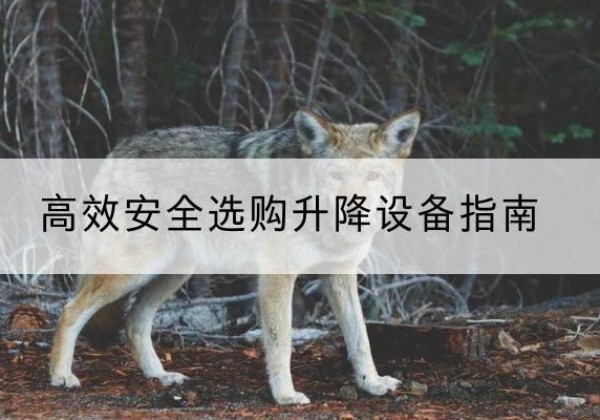 镇雄升降货梯厂家推荐-*安全选购升降设备指南
