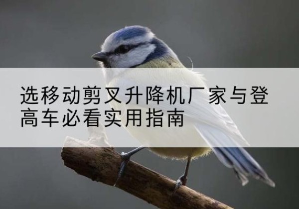 镇雄电动升降机厂家-选移动剪叉升降机厂家与登高车必看实用指南