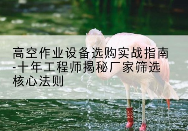 镇雄剪叉式升降机厂家-高空作业设备选购实战指南-十年工程师揭秘厂家筛选核心法则